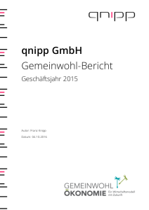 Gemeinwohl-Bilanz qnipp