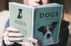Buch lesen, Anleitung für Hund